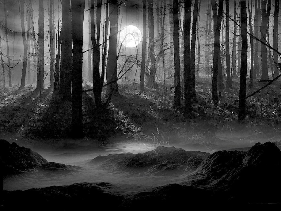 Forests_wallpapers_401
