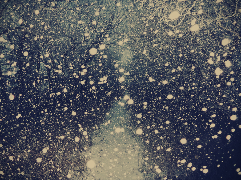 Snowflakes_at_night_by_BoxersFracture